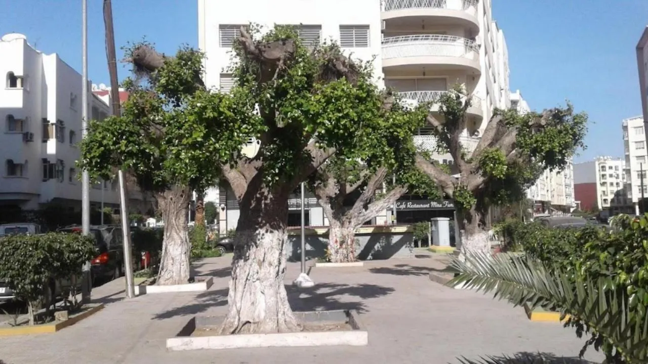 Beautiful Apartment Holiday With Terrace, Kazablanka
